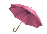 purple umbrella